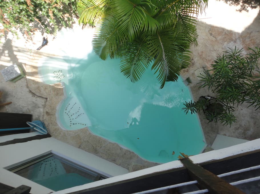the pool