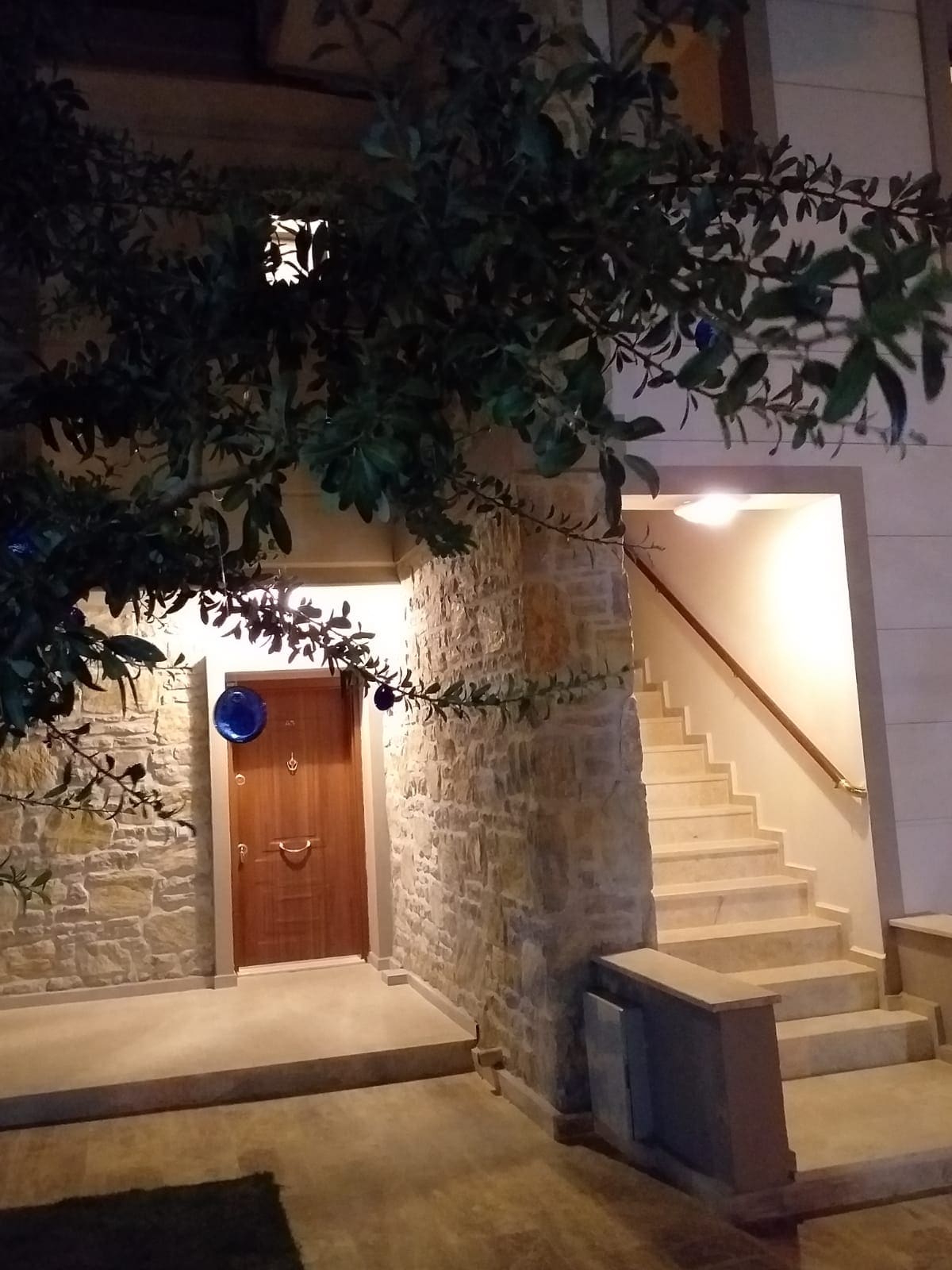 The entrance to the apart features a wooden door framed by stone walls. A staircase leads to the upper level, illuminated by soft light. Green foliage is seen in the foreground, adding a natural element to the welcoming entry.