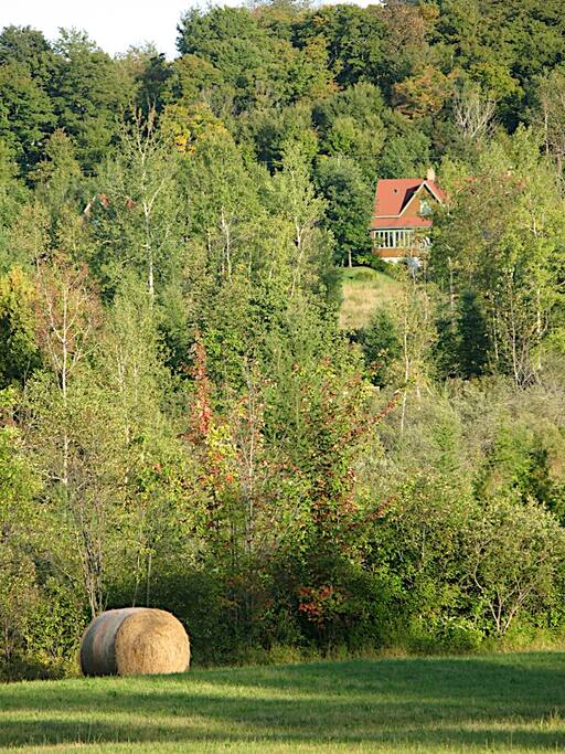 Vue arrière de la maison