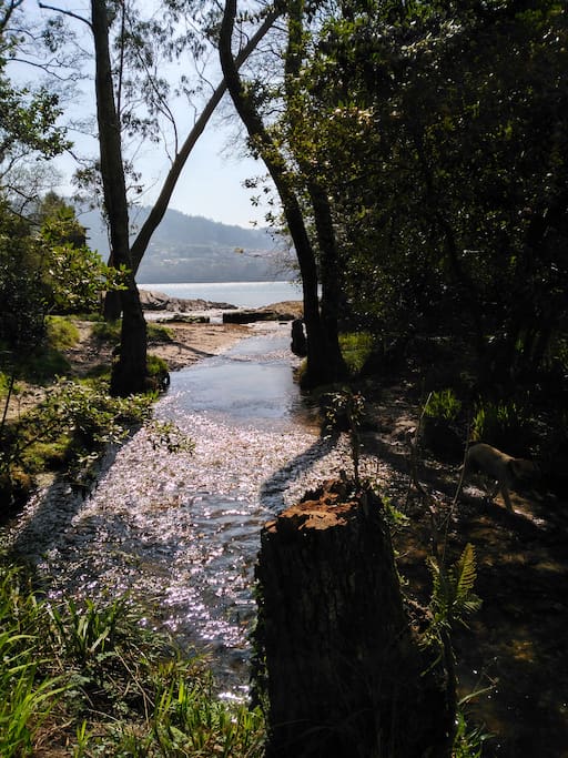 Río Castro