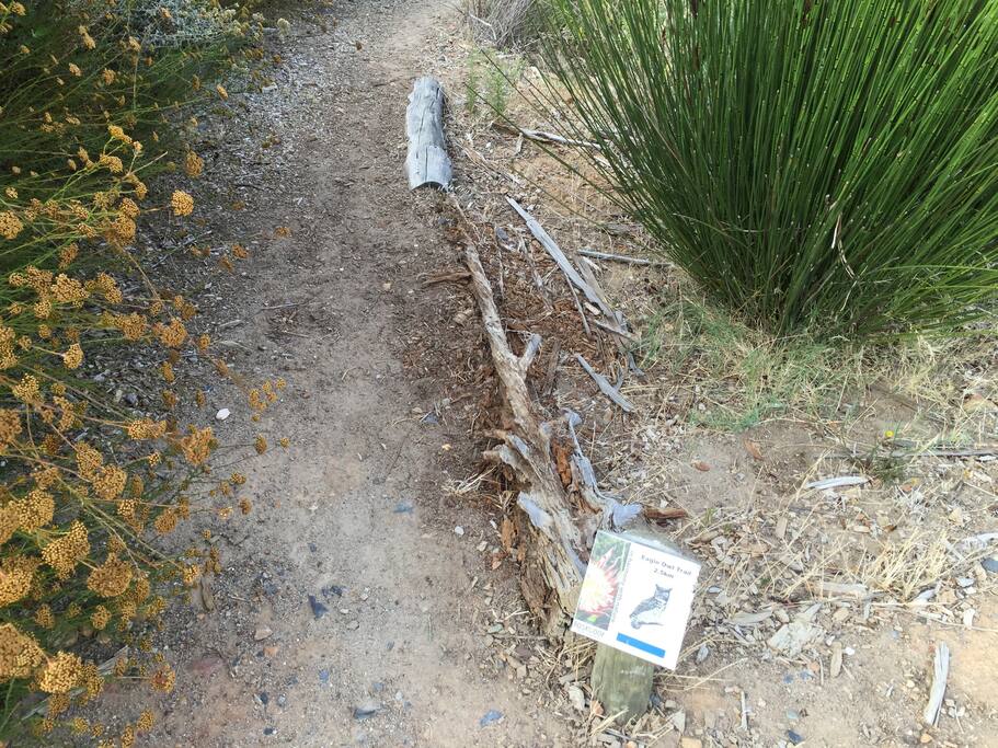 Walk paths all over eco estate of up to 3 km at time