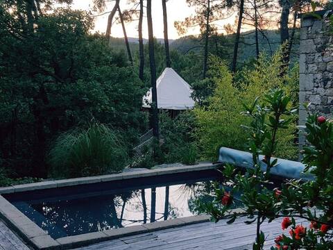the cabin in the trees