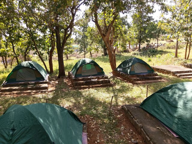 Cicada Woods Tented Camping Centre 1 8 Bedrooms 8 Bathrooms Campsite Yelagiri India