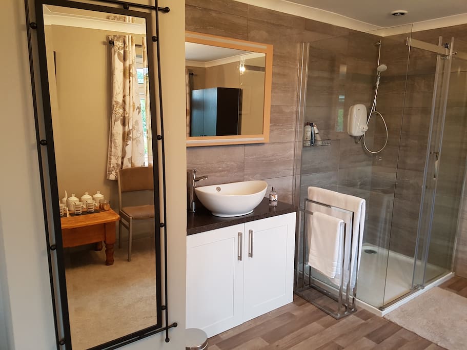 Mirrors, Shower and Basin area