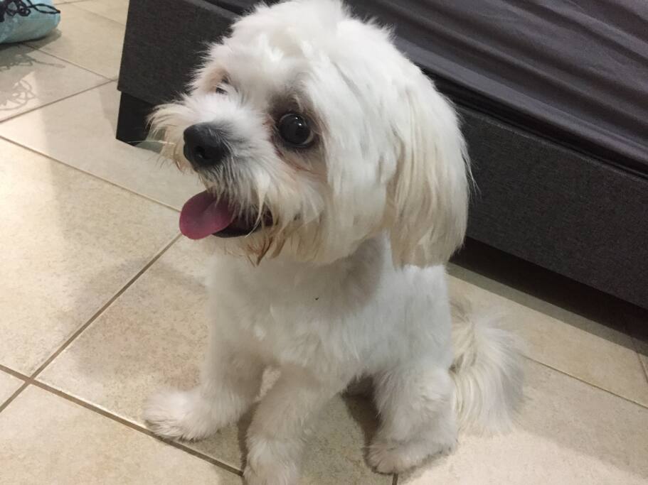 Archie who loves everyone