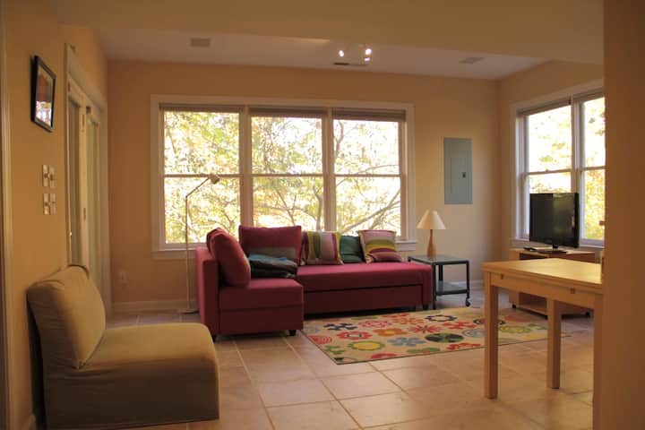 Clean apt near UNC w wooded view, walk to Franklin