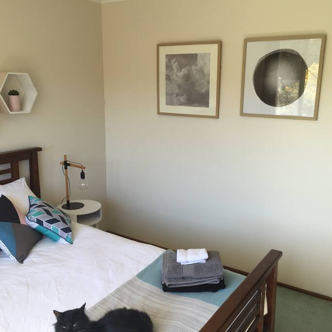 Room for let 2
