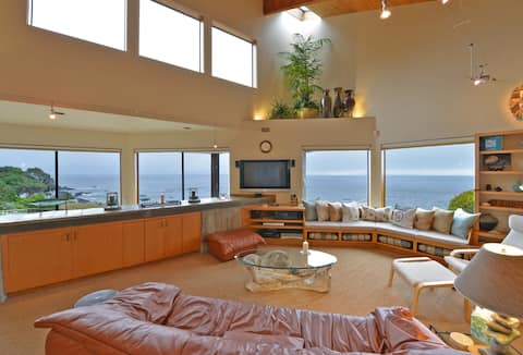 When Only the BEST Will Do (True Ocean Bluff)