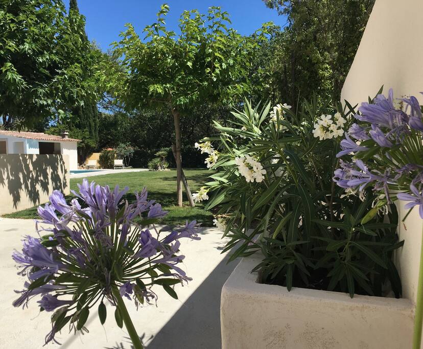 jardin paysager