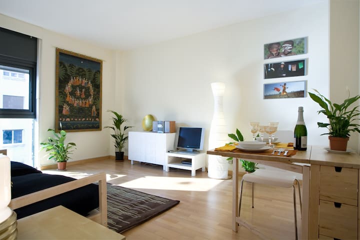 Sunny Apartment Sagrada Familia 3
