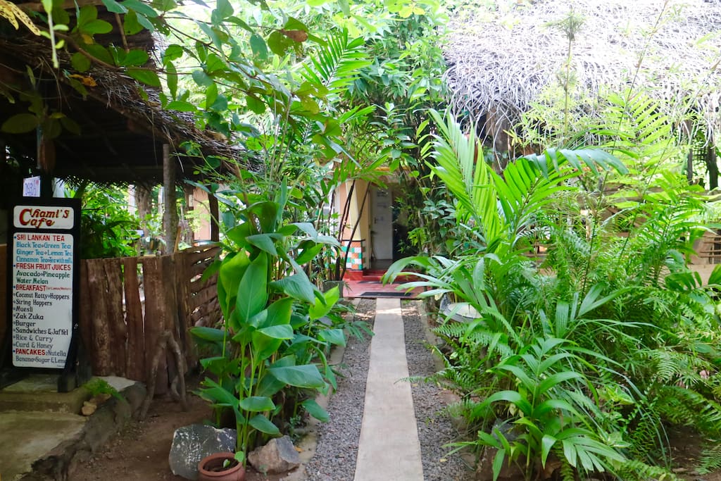 Enter into our garden homes