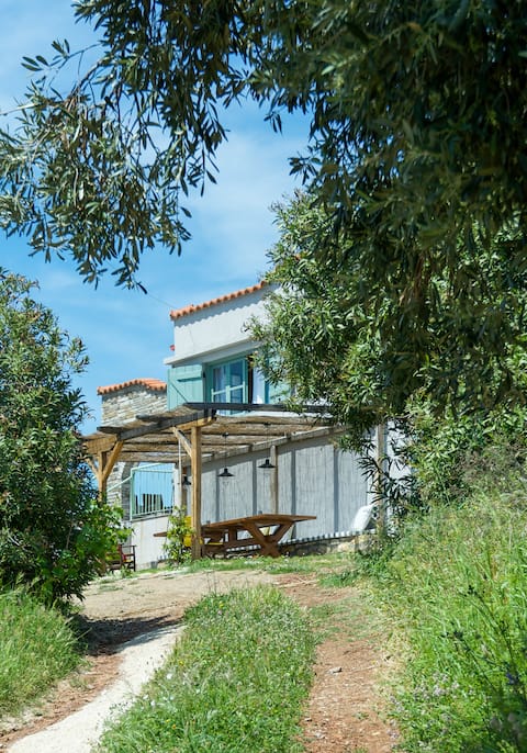 Country house: "Avaton Farm: Creative Tourism"