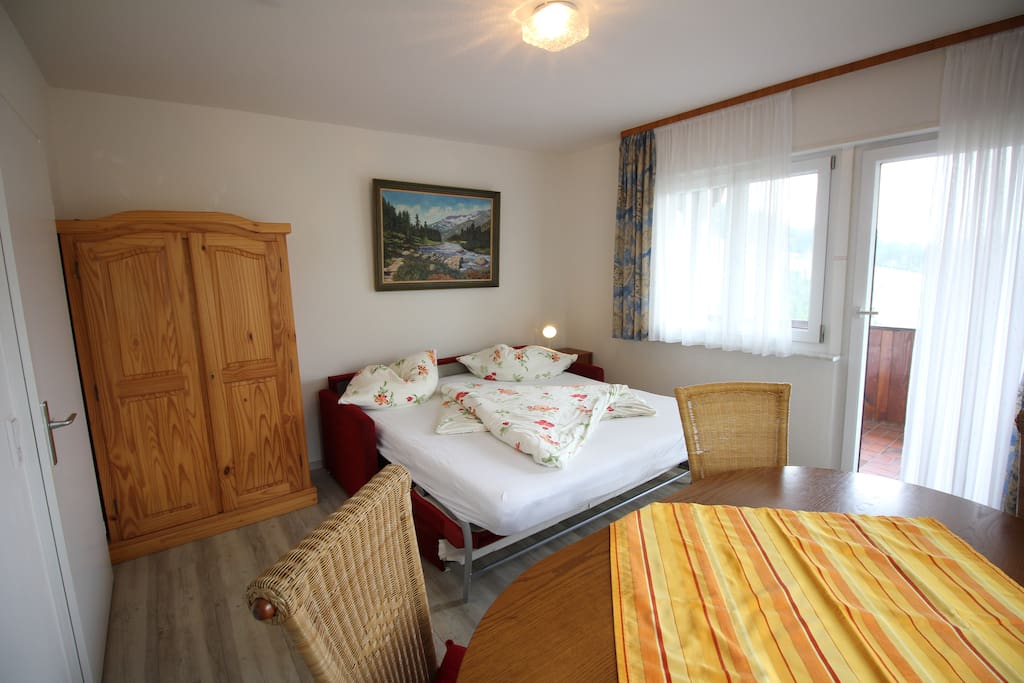 Wohn-Schlafzimmer