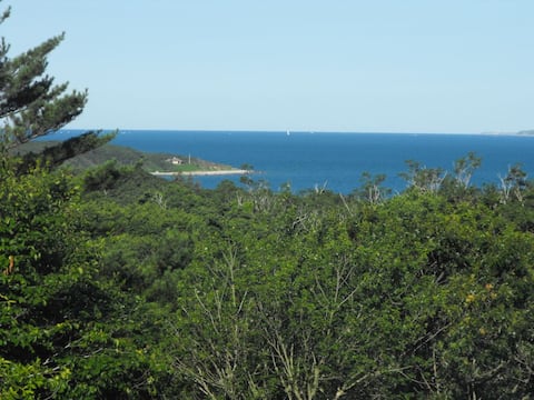 Successful Airbnb property: Lambert's Cove Oceanview Beach Pass Trails nearby in Vineyard Haven