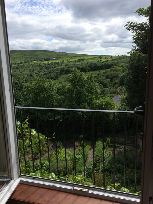 View from your room!