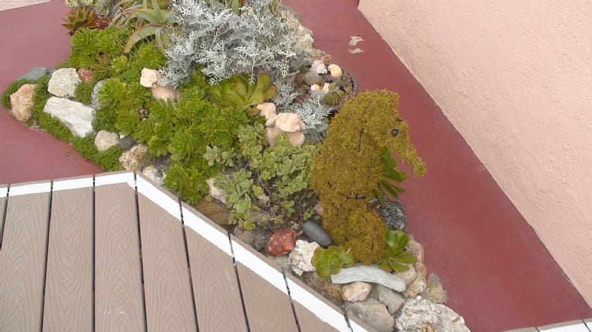 Oceanfront House – Best Patio in Mission Beach! gallery image 4