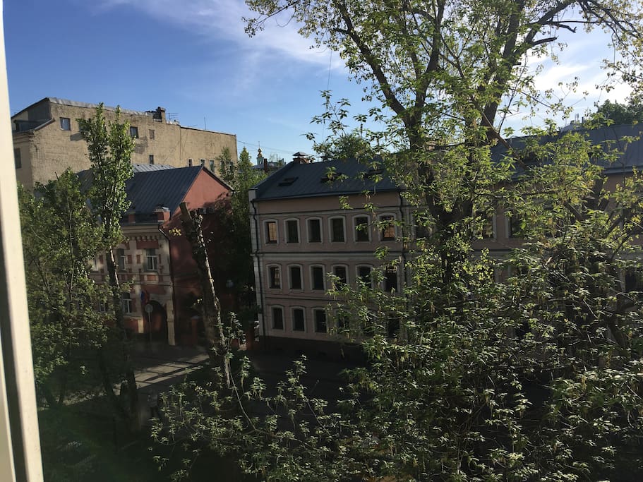 Window view