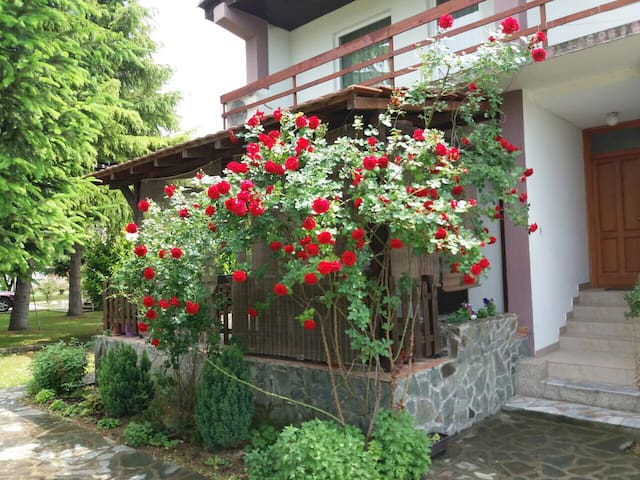 Specious Boutique hotel with big garden &BBQ house
