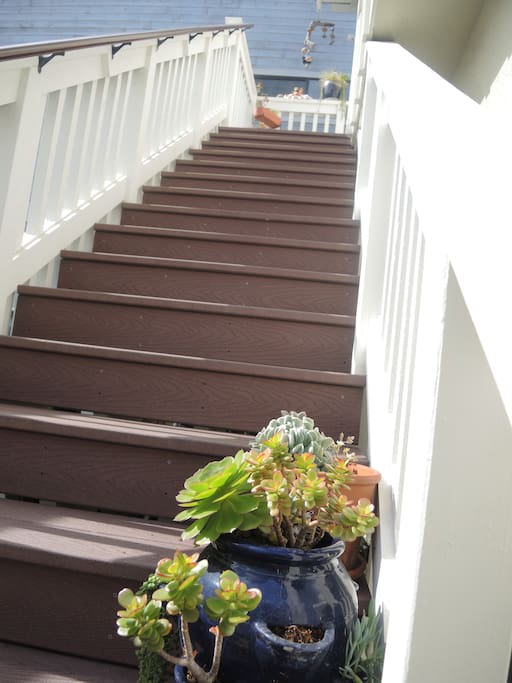 These are the TREXX, non-slip stairs up to your unit.