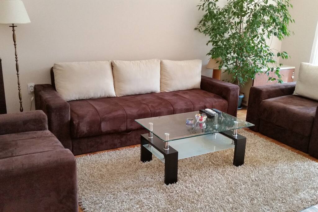 Sofa bed in living room