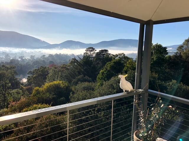 Yarra View Estate A gallery image 2