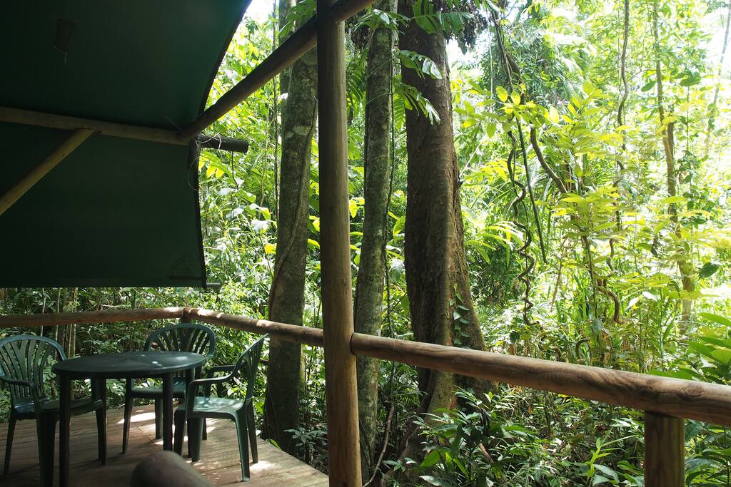 Your Balcony View