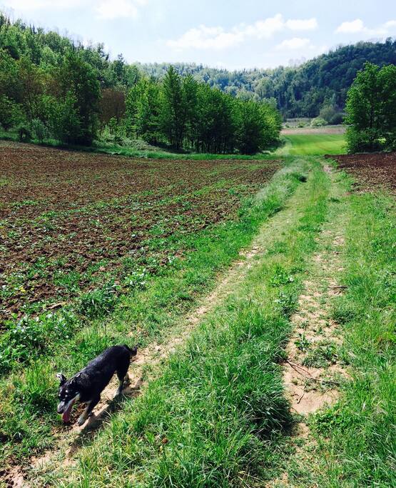 Passeggiata
