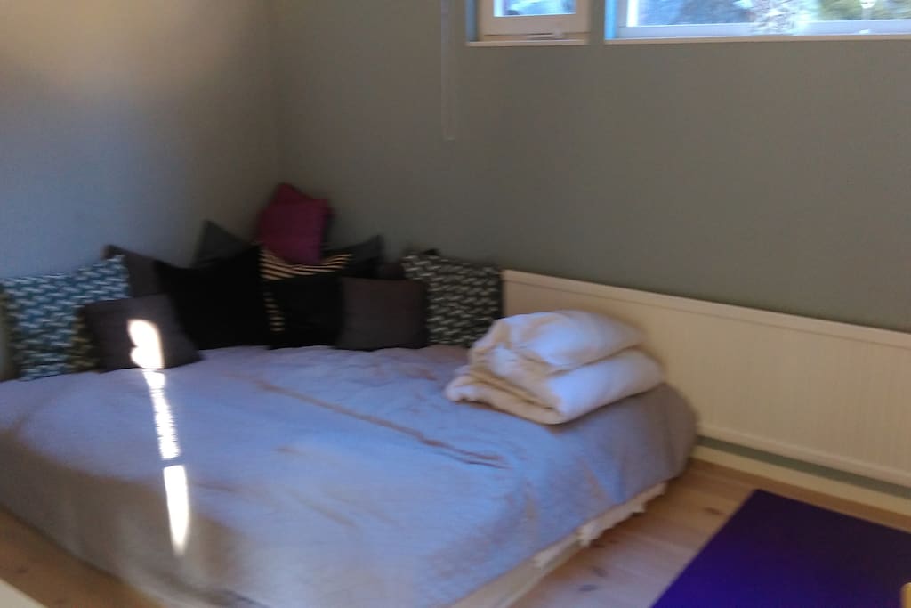 Master bed room