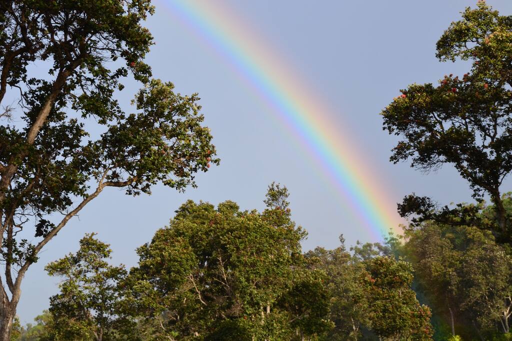 Waiola Guesthouse & Zen Garden Houses for Rent in Naalehu