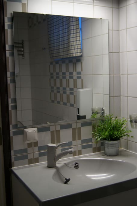 Jokaisessa huoneessa on oma suihku ja wc.