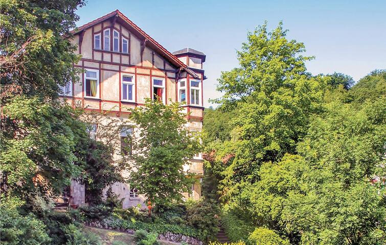 Airbnb Eisenach Vacation Rentals Places To Stay Thuringia