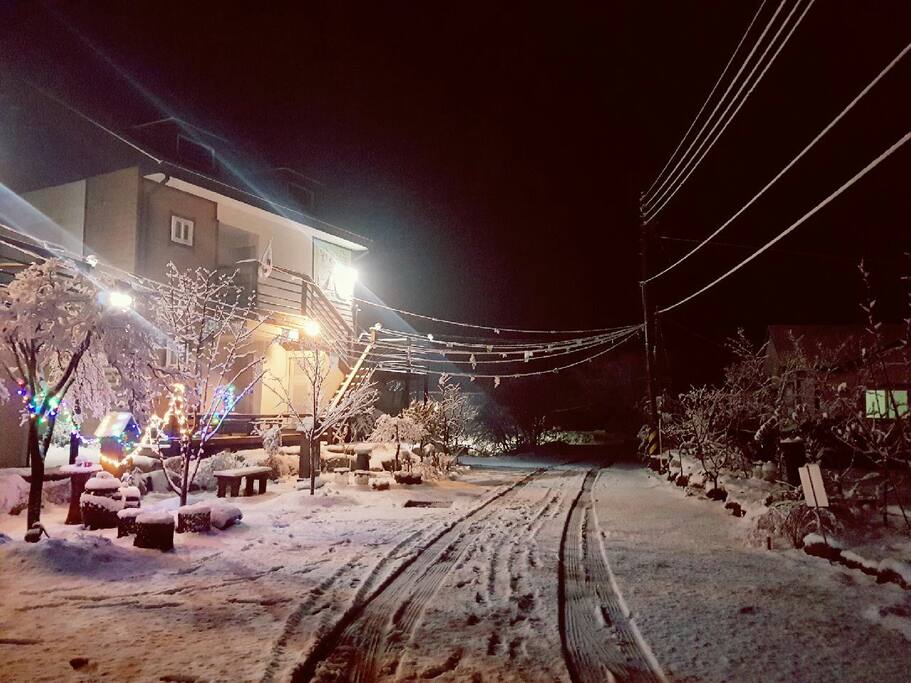 눈맞으며밤산책최고예요