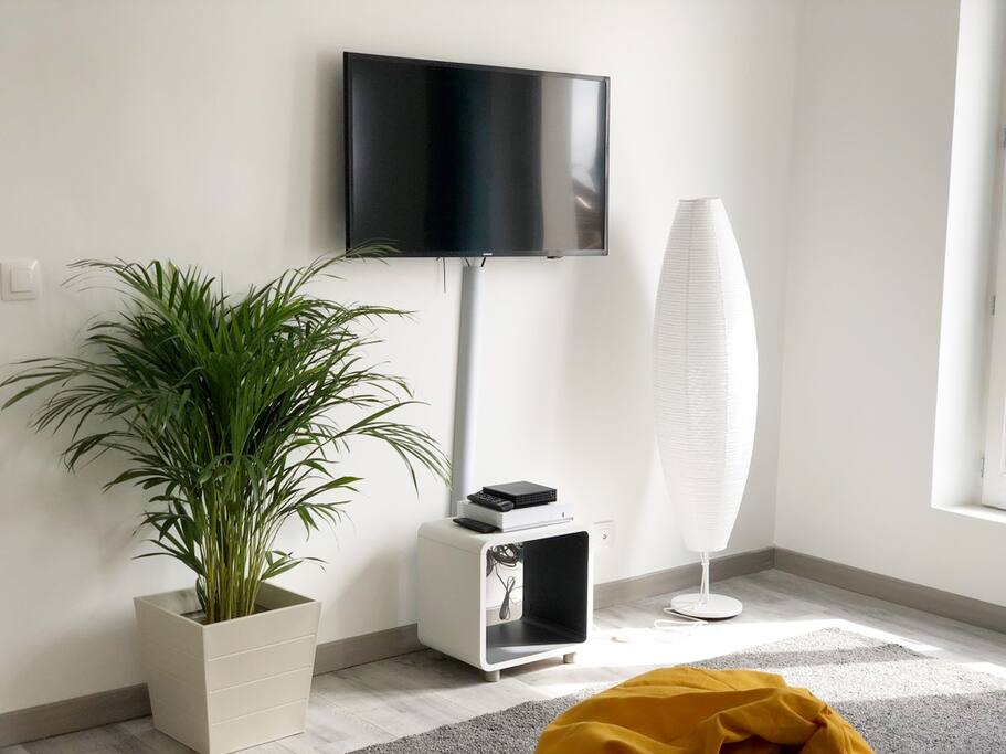 Télévision écran Plat avec Netlfix