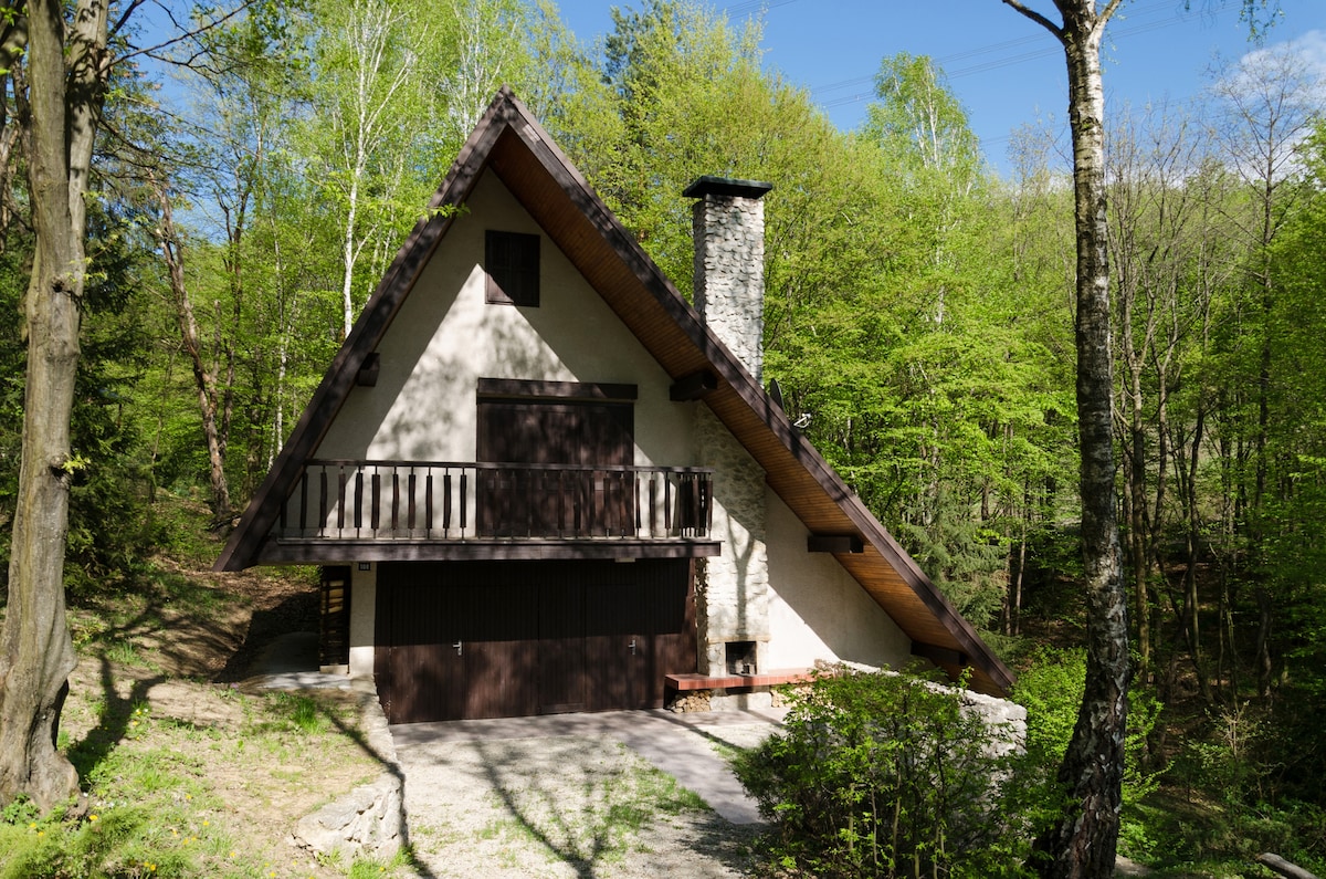 The cottage is nestled among lush green trees, featuring a steeply pitched roof and a stone chimney. A front balcony with dark wooden railings adds to its charm. The exterior is complemented by a gravel pathway leading to the entrance, surrounded by natural vegetation.