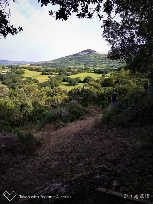 Vista primaverile
