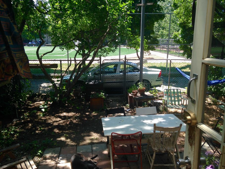 Back garden shared with neighbor