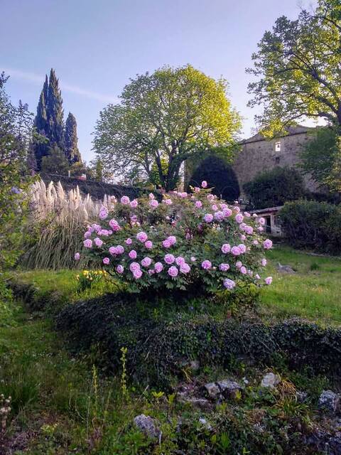 Villa Panzano. Park, pool, wifi, 8p.  Firenze