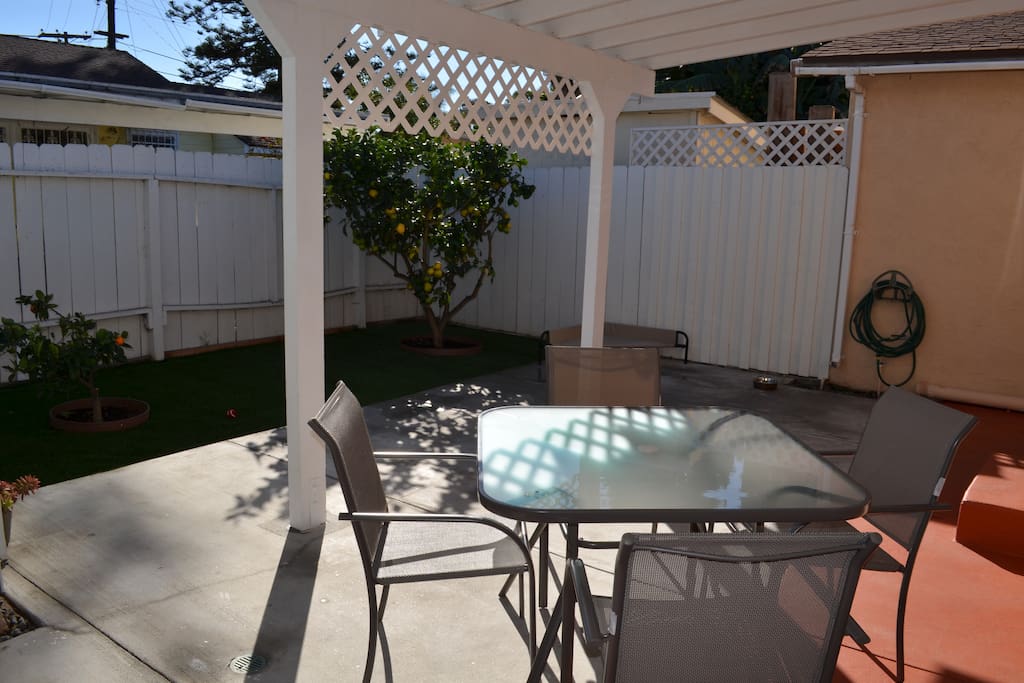 Backyard area with sitting area and lemon tree!