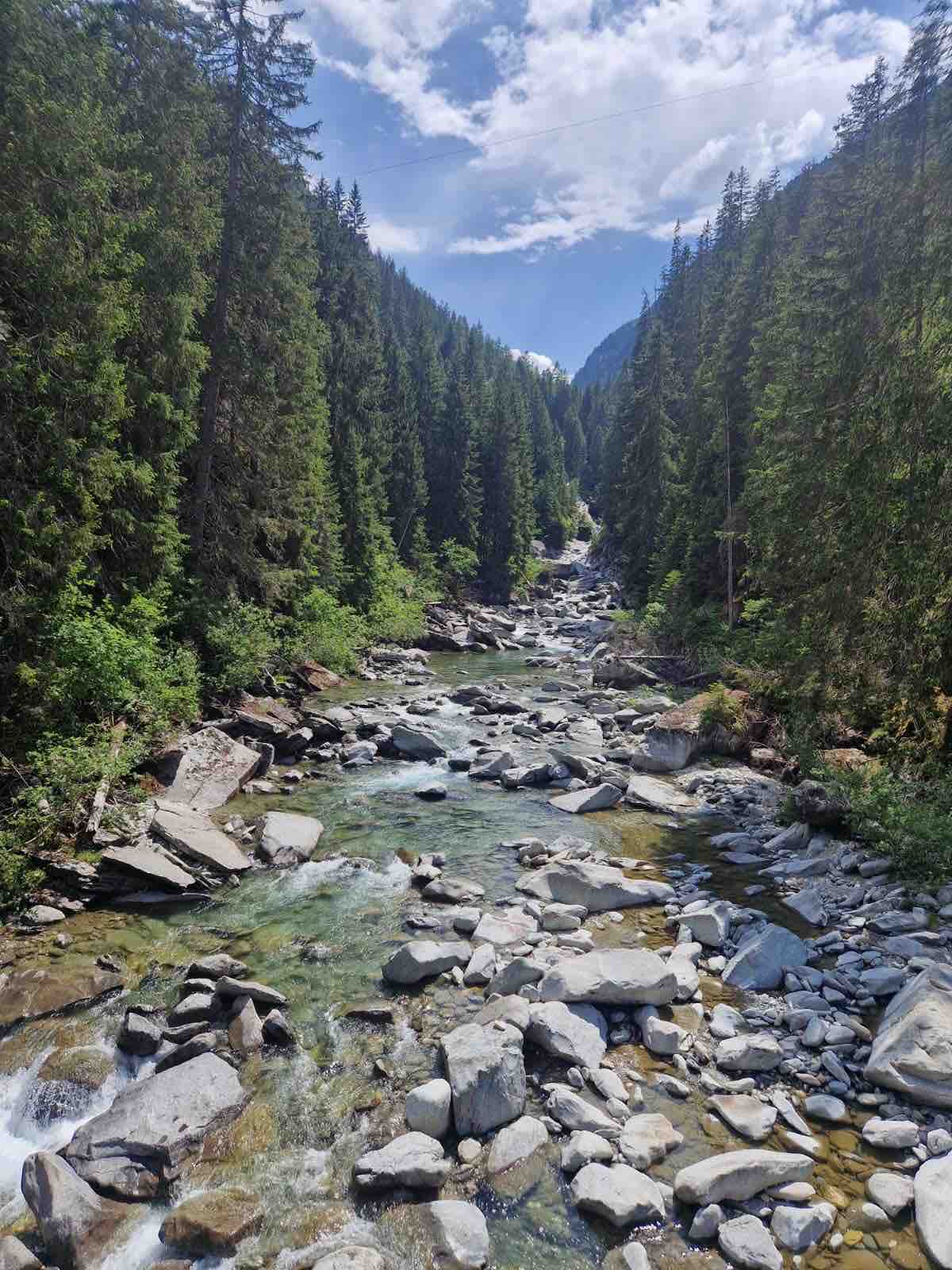 A flowing river meanders through a forested valley, surrounded by tall evergreen trees. Smooth stones and rocky formations line the riverbed, while sunlight filters through the clouds overhead, creating a serene natural landscape.