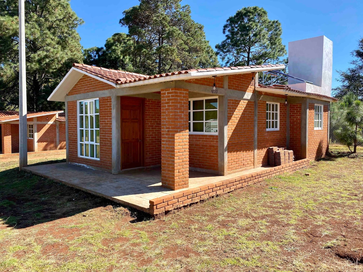A charming brick house is surrounded by trees, featuring a covered porch and multiple large windows. A wooden front door is visible, and the well-maintained grass leads to the entrance, enhancing the inviting outdoor space.