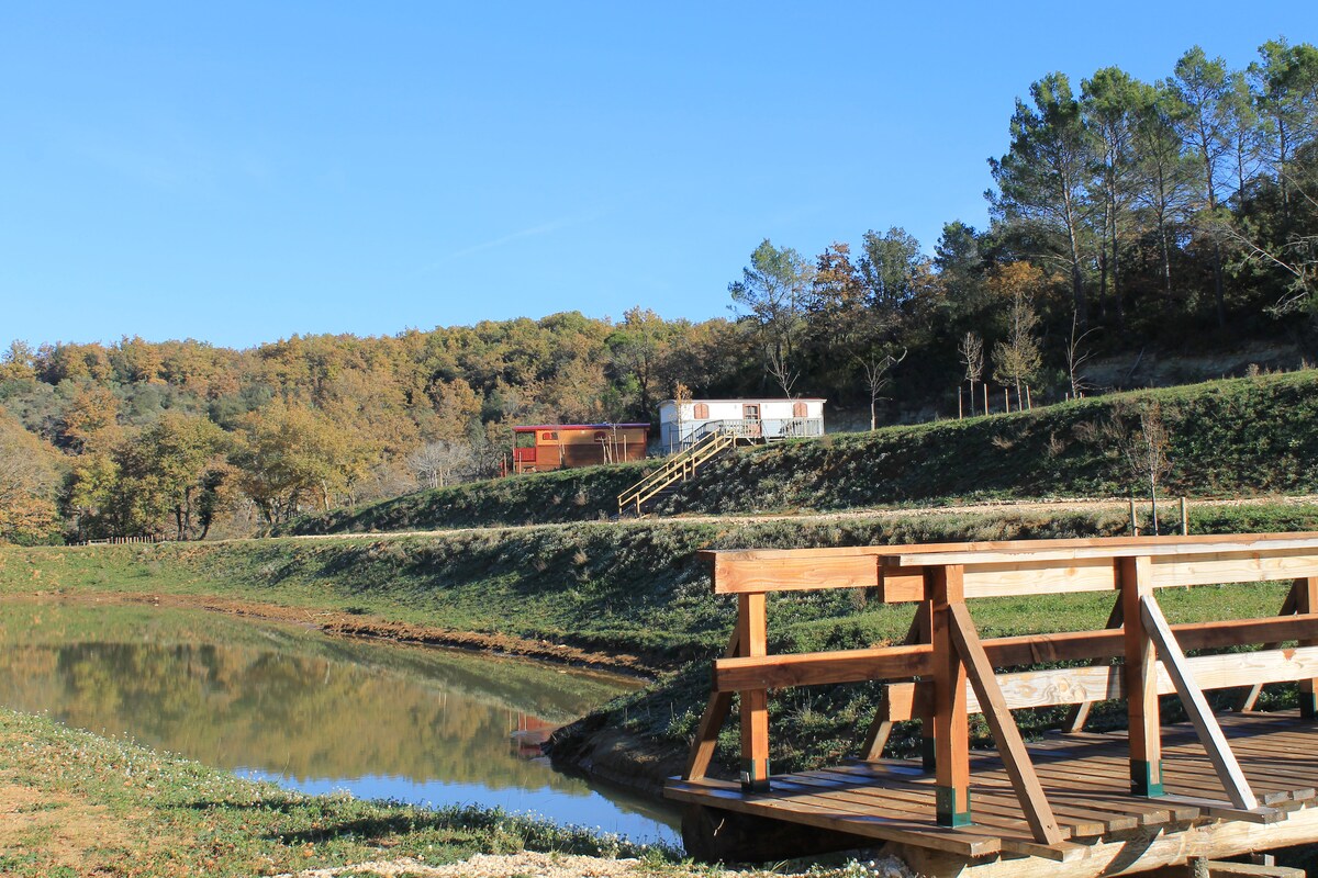 A wooden deck extends over a serene lake, reflecting the surrounding greenery. In the background, a charming accommodation structure is situated among trees, adding to the peaceful natural setting. A clear blue sky enhances the tranquil atmosphere of the location.