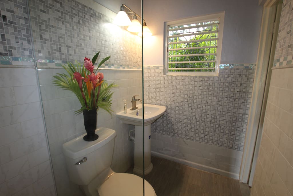 Newly renovated bathroom