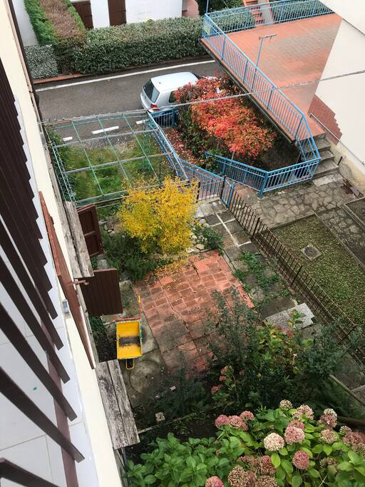 Giardino