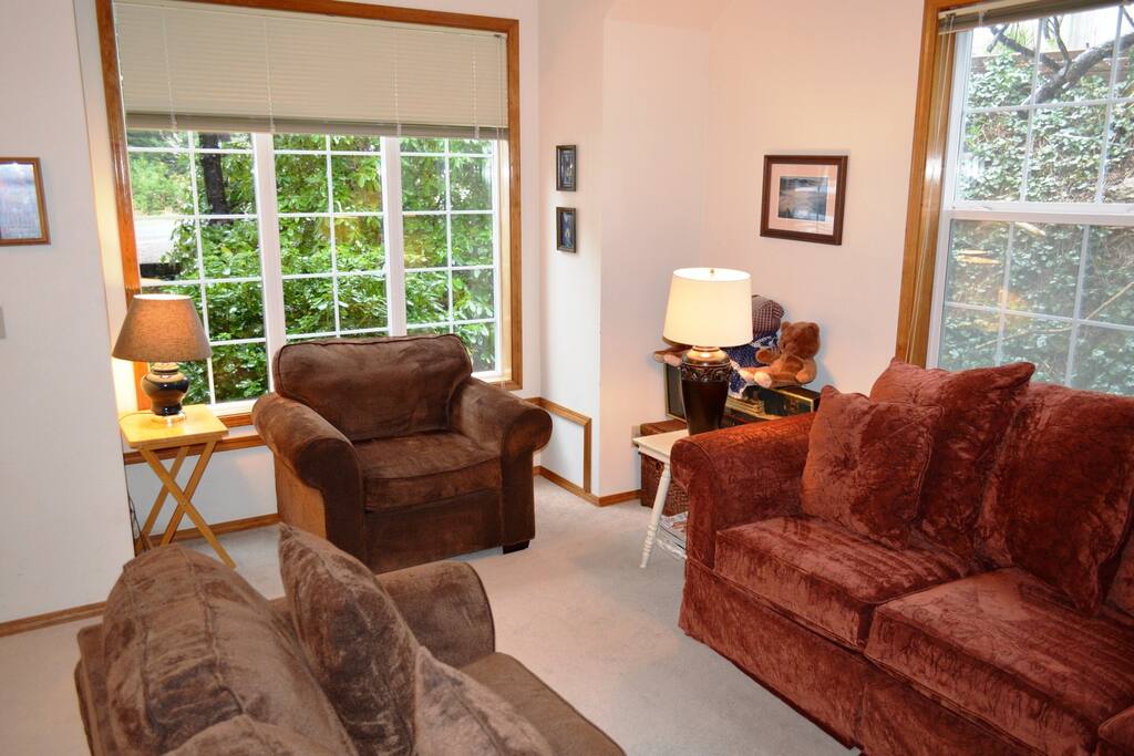 Lower level living room with a wood stove