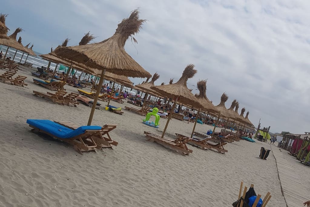 The beach
