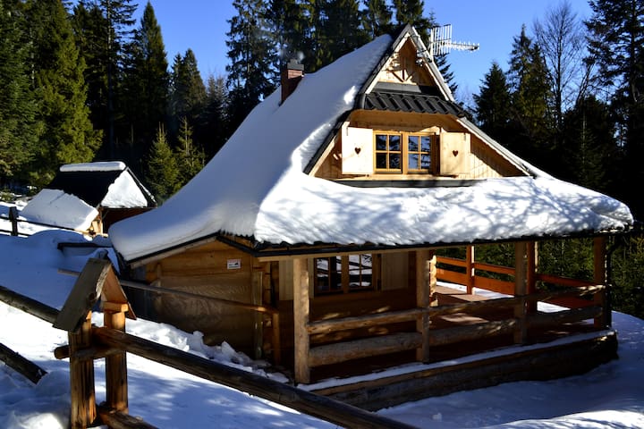 Wooden house in the mountains