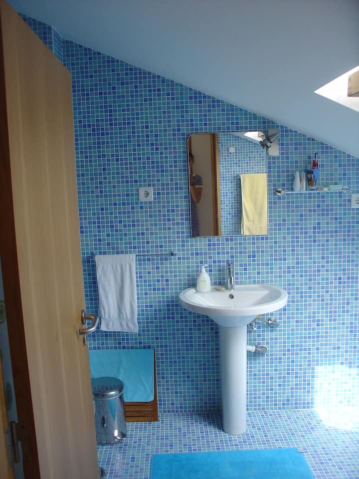 The best house in Zambujeira do Mar
