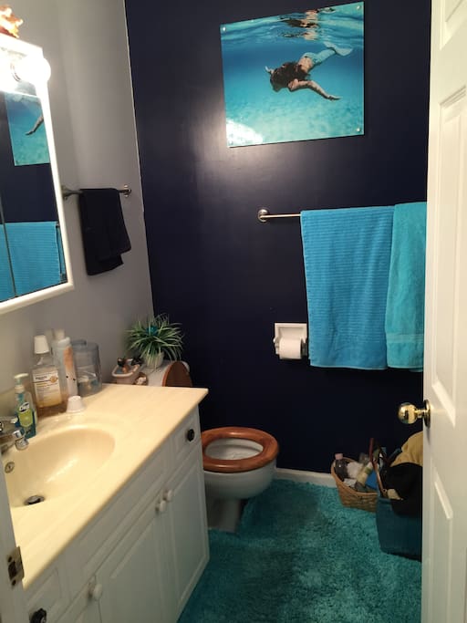 This is your bathroom, with shower and tub.