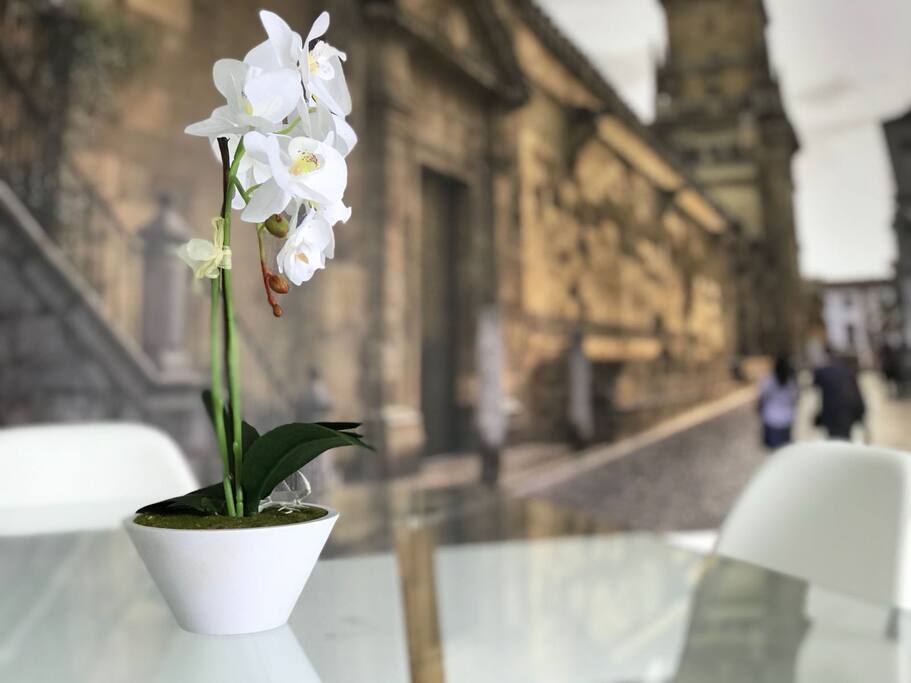 Panorámica salón comedor