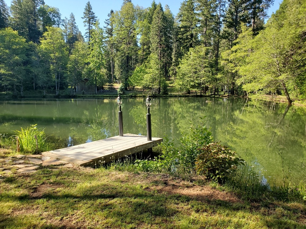 A serene pond is depicted, surrounded by lush greenery and tall trees. A small wooden dock extends into the calm water, supported by two lamp posts, reflecting a peaceful natural setting. The gentle ripples on the water's surface enhance the tranquil ambiance.